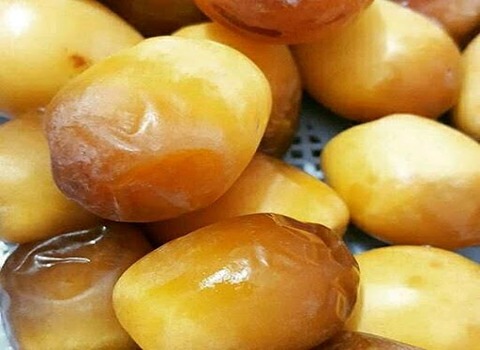 https://shp.aradbranding.com/قیمت خرید خرما هلیلی عمده به صرفه و ارزان